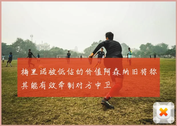 梅里诺被低估的价值阿森纳旧将称其能有效牵制对方中卫