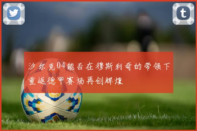 沙尔克04能否在穆斯利奇的带领下重返德甲赛场再创辉煌