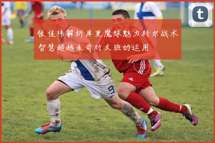 张佳玮解析库里魔球魅力科尔战术智慧超越米奇对文班的运用