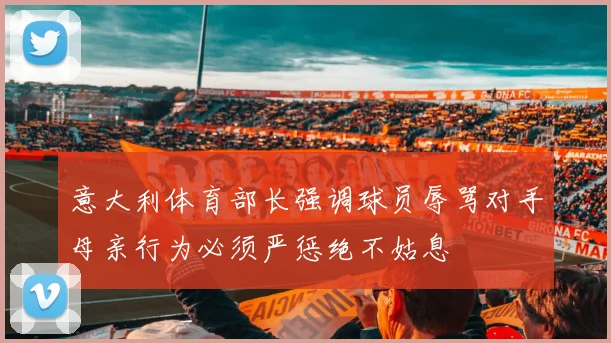 意大利体育部长强调球员辱骂对手母亲行为必须严惩绝不姑息